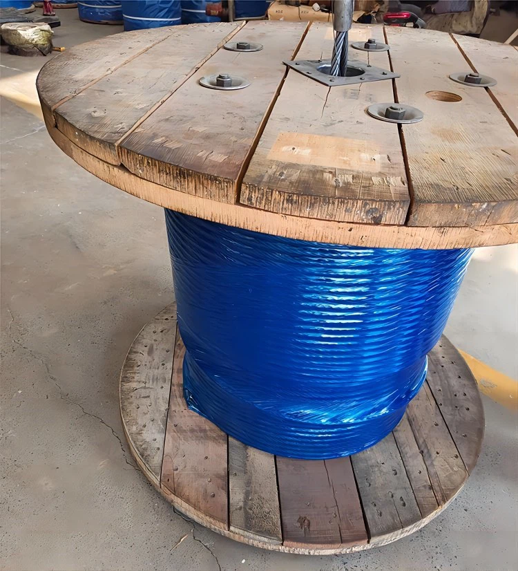 Inspection details Inspection details